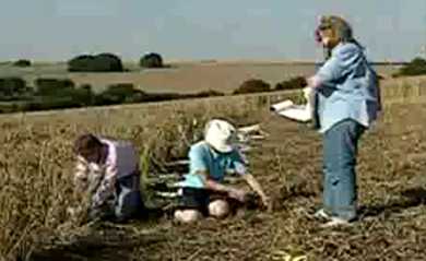 麥田怪圈－譯制紀錄片